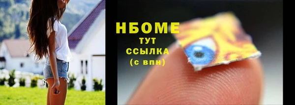 СК Алексин