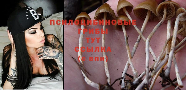 спайс Алзамай