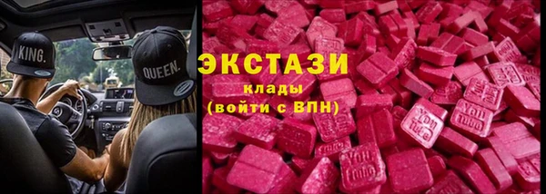 СК Алексин