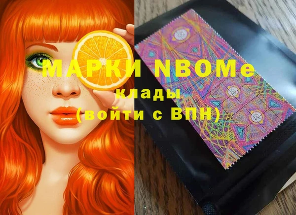 СК Алексин